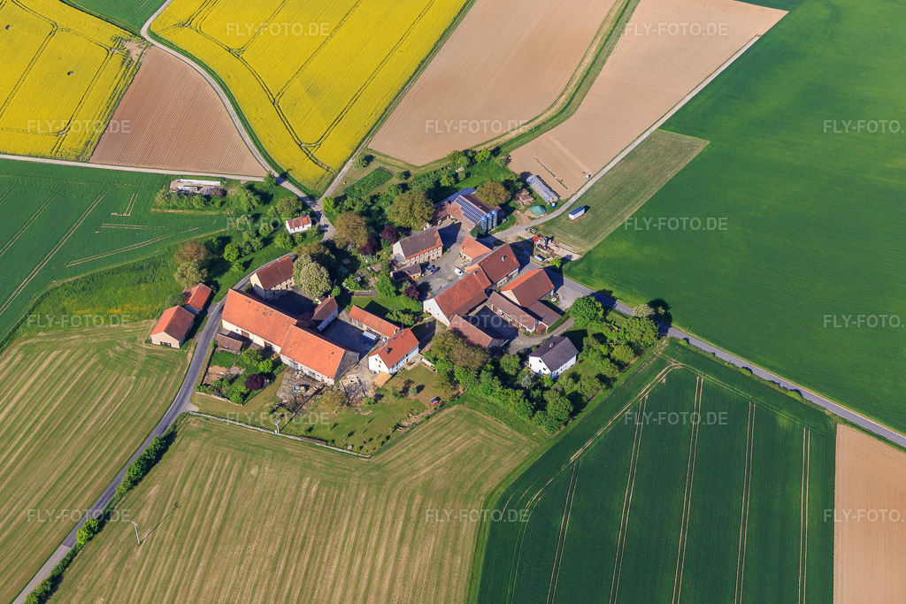 Luftbild: Ortsteil Bowiesen mit Kapelle Bowiesen und Unser Johannshof im Ortsteil Neubronn in Igersheim im Bundesland Baden-Württemberg in Deutschland. Foto: IMG_146525.jpg vom 10.05.2025 durch Werner Riehm/FLY-FOTO.de