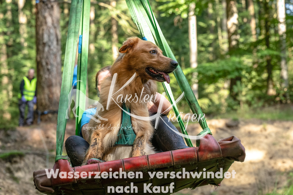 1117_ZZ94605-Bearbeitet | kk-dogfotos