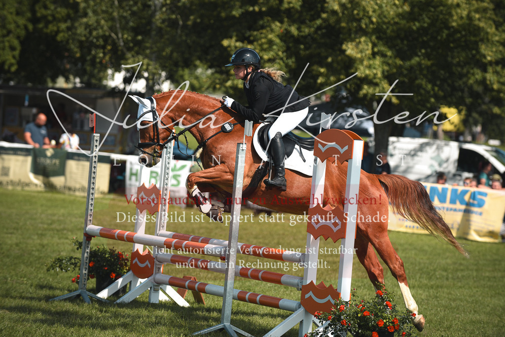 DSC_9120 | Pferde- und Turnierfotografie in Westsachsen. Pferdeportraits, Auftragszeichnungen und intuitive Kunst.