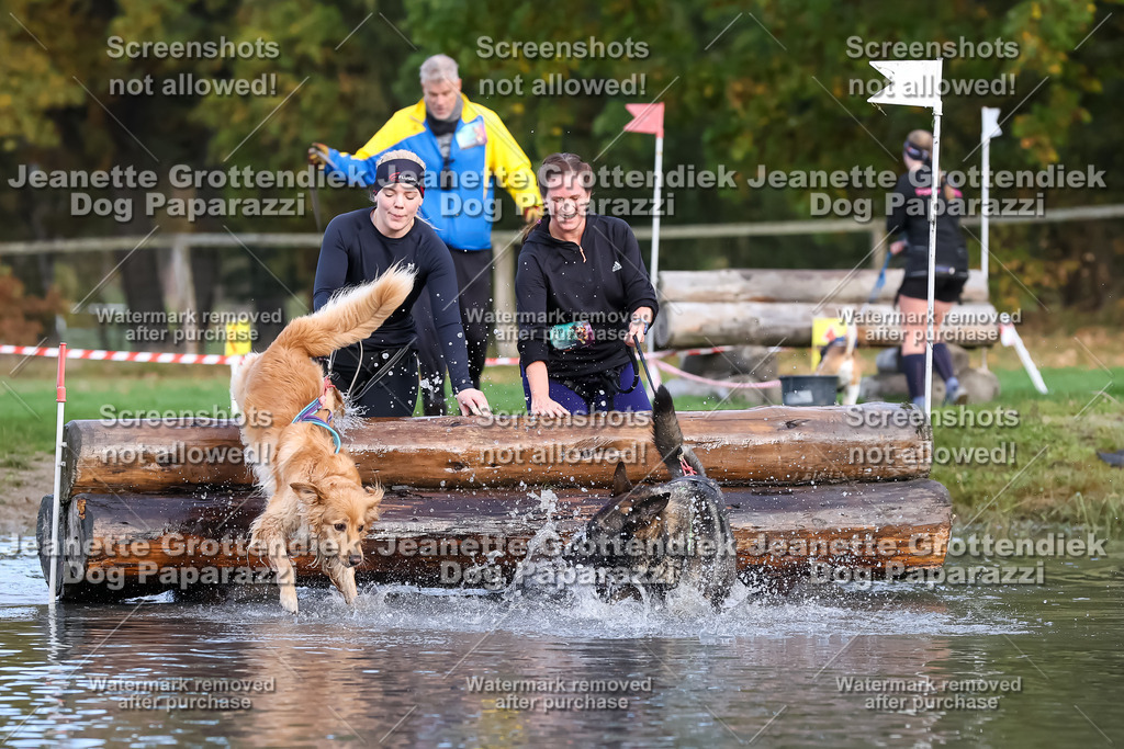 Dog Paparazzi - Strongdog 10-25-6963 | Dog Paparazzi Jeanette Grottendiek Fotografie & Videografie - Realisiert mit Pictrs.com