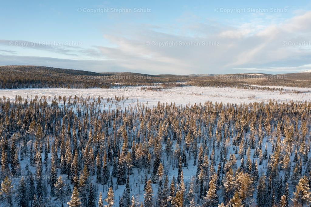 Finnland - Lappland | Verschneiter Wald in Finnisch-Lappland. (Aufnahme mit einer Drohne) - Realisiert mit Pictrs.com