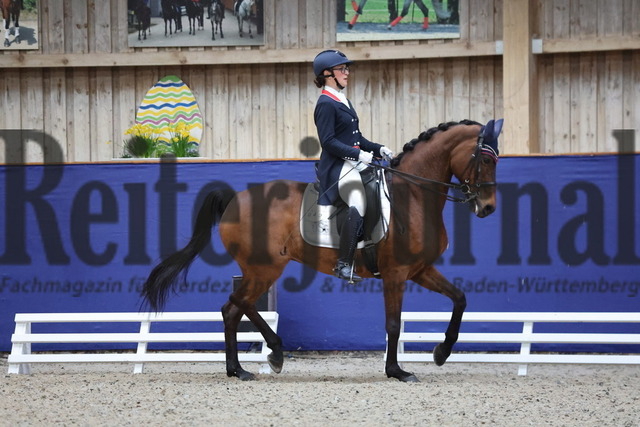 Zeutern_2025_Prfg.Nr.01_Dressurprfg.Kl.S_Grand Prix_Jennifer Buda_Daily Fun 4 (2) | Alle Fotos der Reiterjournal Fotografin Doris Matthaes im Reiterjournal Online-Fotoshop. - Realisiert mit Pictrs.com