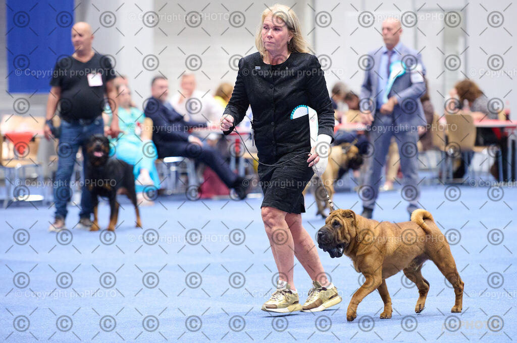 202406_ÖKV-IHA-Tulln24_DSC_2952 | proPHOTO - Realisiert mit Pictrs.com