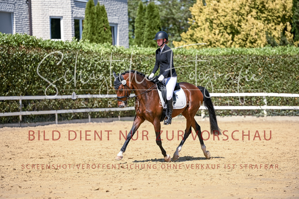 Schugtsche-Aluta25-49.Dressurpferdeprf.A-426 | Schugtsche Fotografie - Realizzato con Pictrs.com