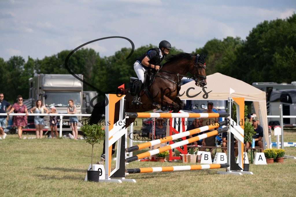 A7V02656 | Pferdefotograf