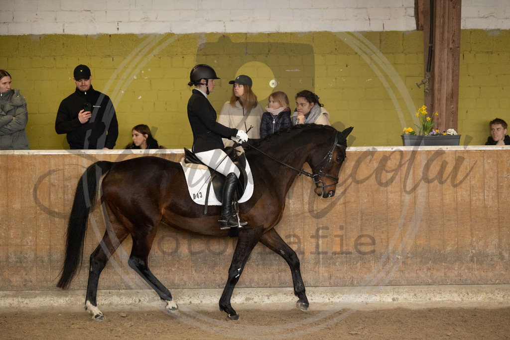 994A8919 | sabrinanicolaifotografie - Realisiert mit Pictrs.com