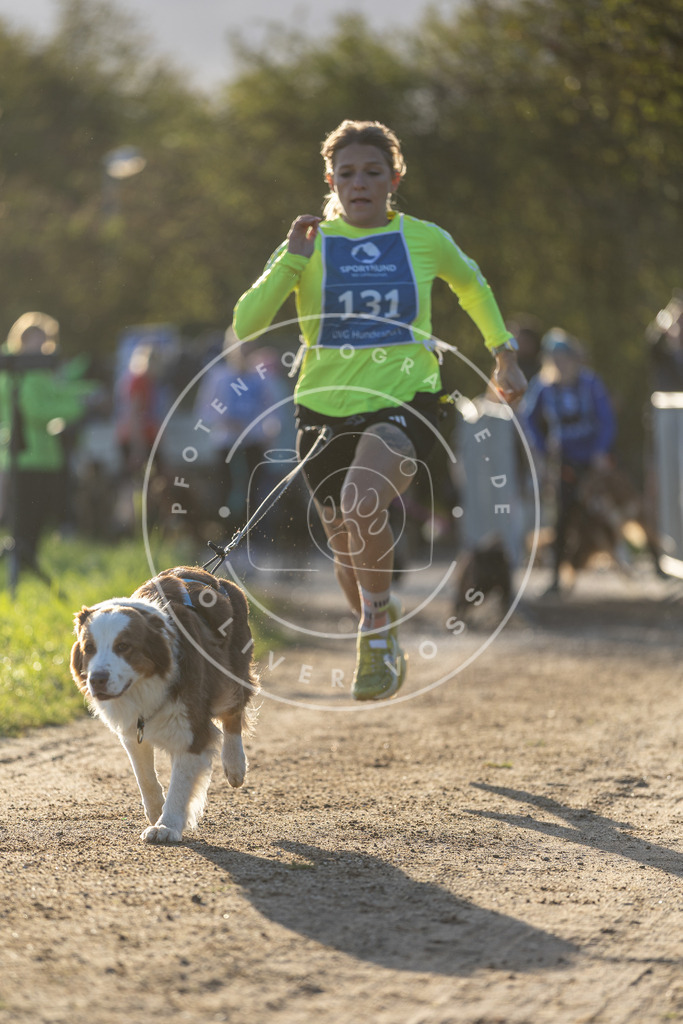 Pfotenfotografie.de_DV3A2880 | Hundefotografie, Tierfotograf, Pfotenfotografie, Fotoshooting Hund, Hunde Portrait, Hundesport, Hundeportraits, Heideshooting, Hunde, Sportfotograf, Hundefotograf, Turnierhundsport, THS, canicross - Realisiert mit Pictrs.com
