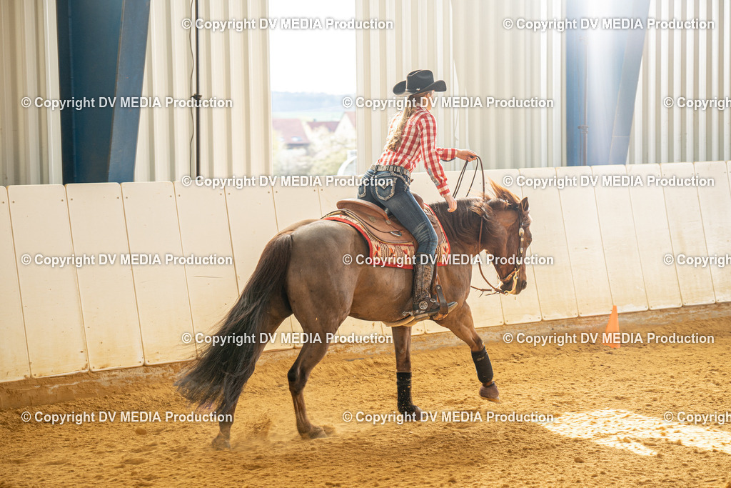 MIT00664 | dv-media-shop - Realisiert mit Pictrs.com