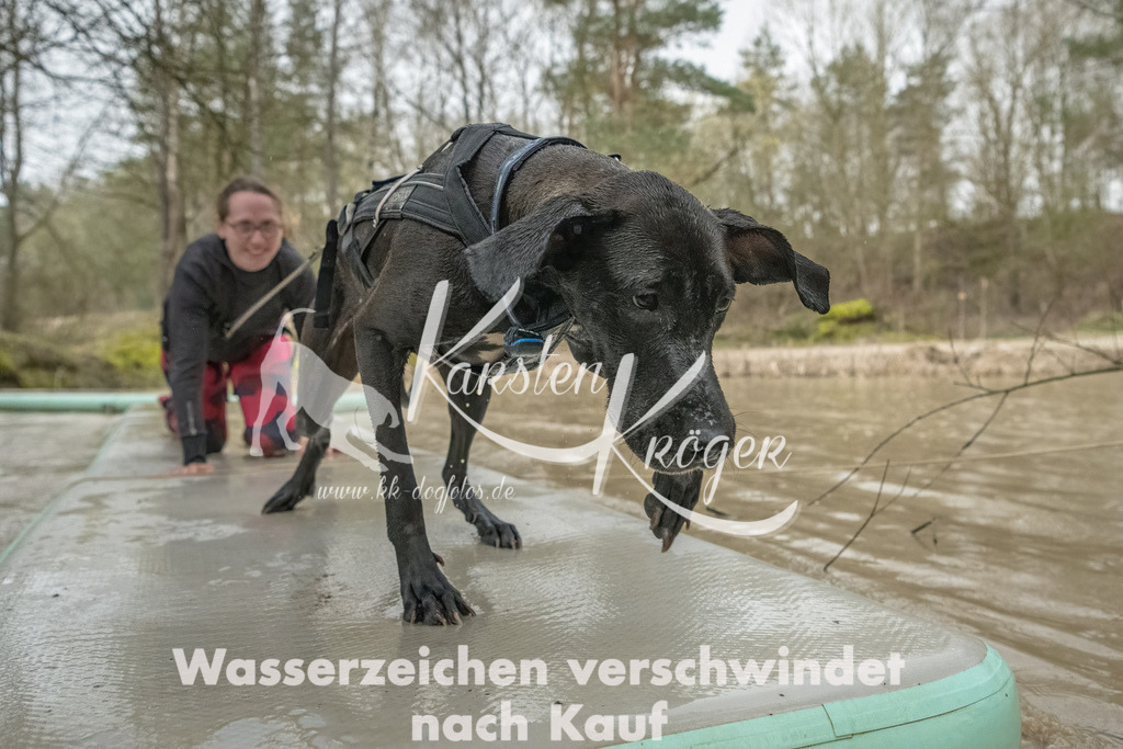 1042_ZZ93269-Bearbeitet | kk-dogfotos