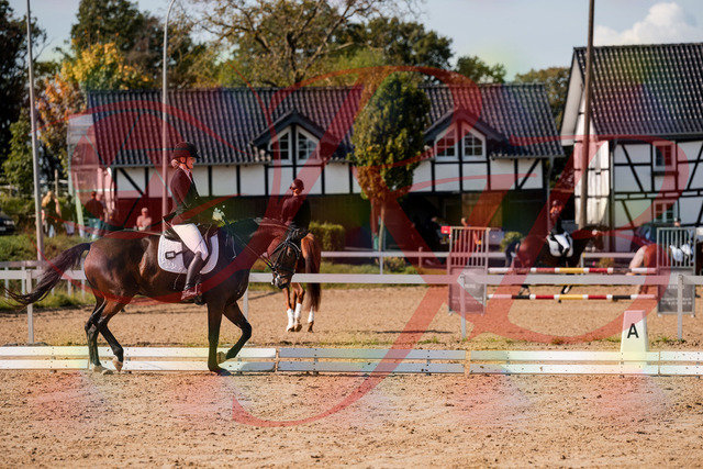 2026_10_03_Siefer-Hof_125532_Z63_61888388 | Professionelle Reitsport-, Turnier- und Eventfotografie von Robert Broda. Galerien mit ausgewählten und bearbeiteten Bildern direkt online ansehen und bestellen.