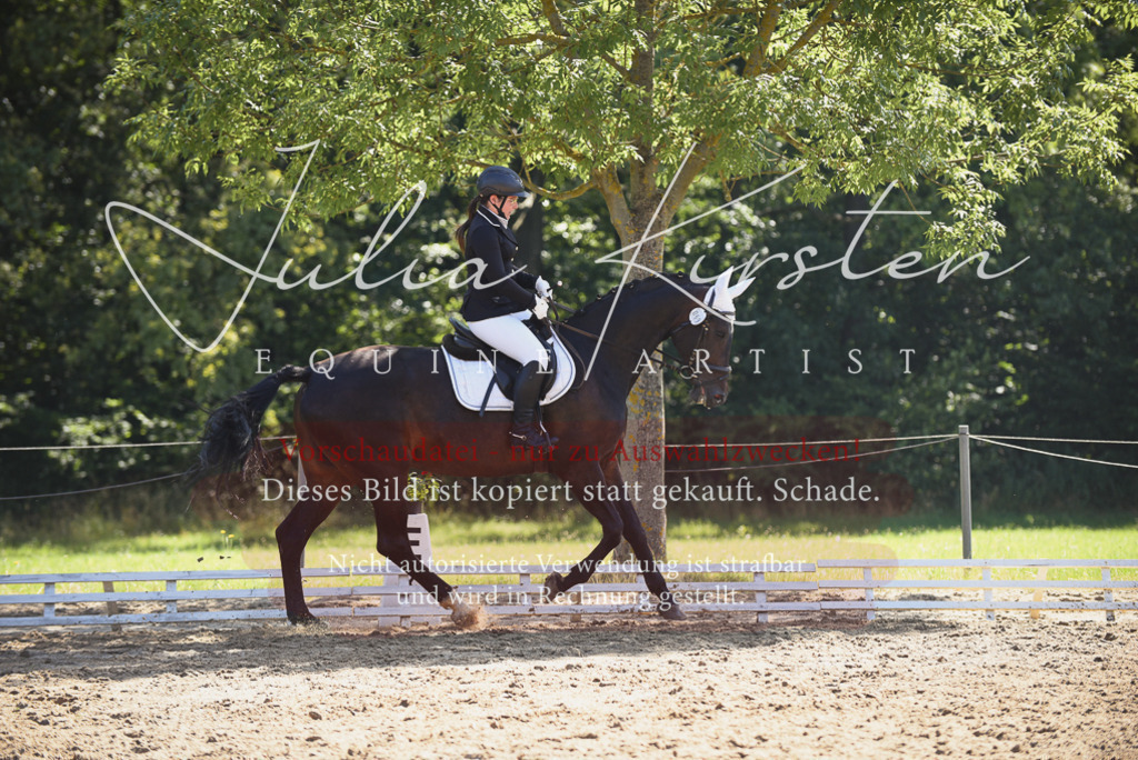 DSC_0414 | Pferde- und Turnierfotografie in Westsachsen. Pferdeportraits, Auftragszeichnungen und intuitive Kunst.