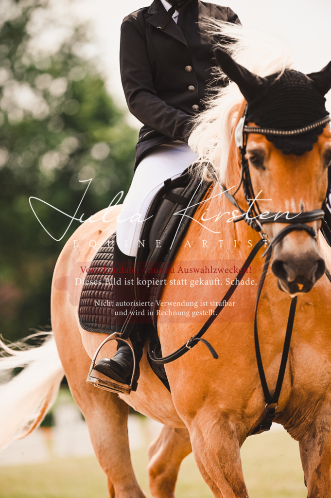 DSC_6341 | Pferde- und Turnierfotografie in Westsachsen. Pferdeportraits, Auftragszeichnungen und intuitive Kunst.