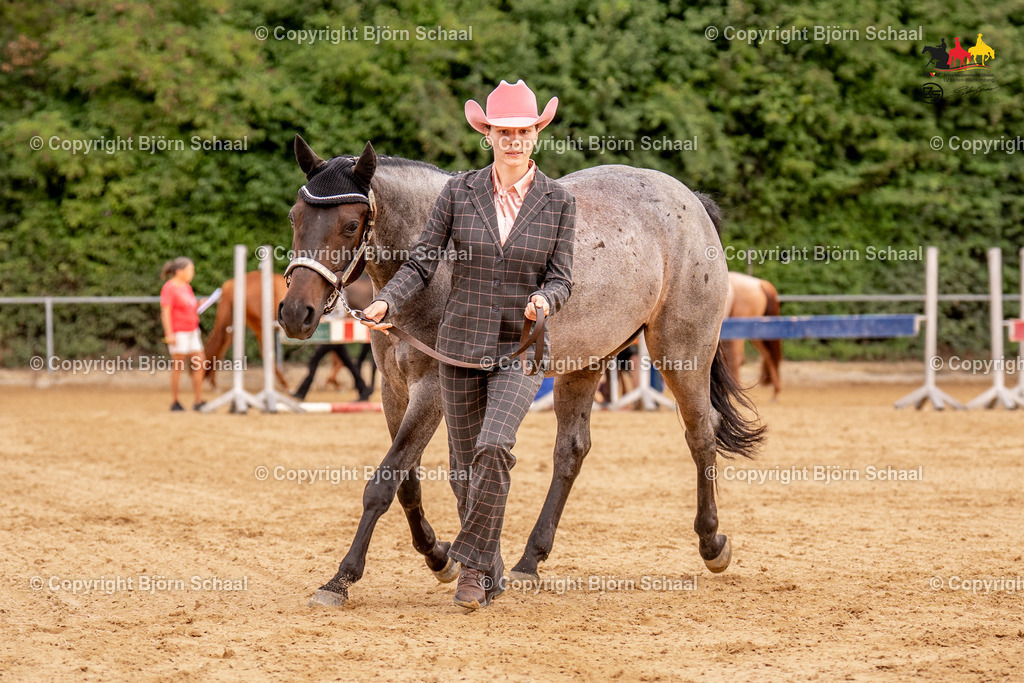 LMS06716 | BS-foto