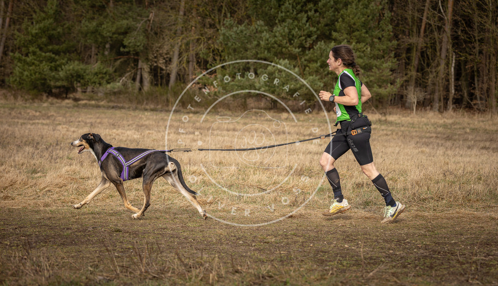 DV3A3779 | Hundefotografie, Tierfotograf, Pfotenfotografie, Fotoshooting Hund, Hunde Portrait, Hundesport, Hundeportraits, Heideshooting, Hunde, Sportfotograf, Hundefotograf, Turnierhundsport, THS,  - Realisiert mit Pictrs.com