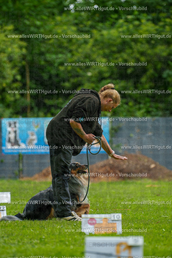 @allesWIRTHgut_Tierfotografie - www.allesWIRTHgut.de - 123437-7R509139 | Professionelle Tierfotografie in Mönchengladbach von Daniel Wirth (allesWIRTHgut). Liebevolle & natürliche Bilder von Hunden & Katzen für unvergessliche Erinnerungen.