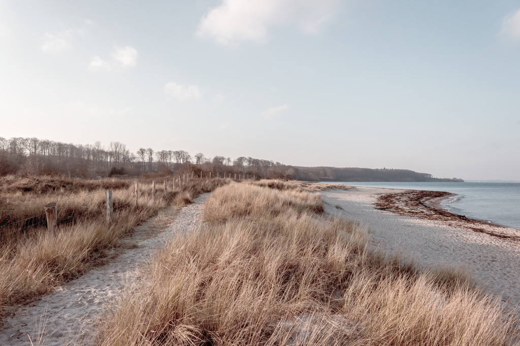 Wandbild: Weg durch den Strandhafer am Meer | Dieses Wandbild im Querformat zeigt einen Sandweg am Strand an einem sonnigen Tag. Auf der linken Seite ist der Weg im Strandgras auf einem kleinen Hügel zu sehen. Der Sandstrand bringt einen natürlichen Sandton ins Bild ein. Die Farbe des Himmels ist pastellartig hellblau. Dieses Farbe wirkt stilvoll und elegant. Holen Sie sich mit diesem dekorativen Wandbild den Strandurlaub für das ganze Jahr nach Hause oder an den Arbeitsplatz. Es ist auf Leinwand, auf Aluminium-Platte, Acrylglas oder als Holzdruck erhältlich. Dabei wird es individuell für Sie in vielen Abmessungen produziert. Daher passen die Ostseekult Wandbilder immer perfekt an Ihre Wände.  - Realisiert mit Pictrs.com