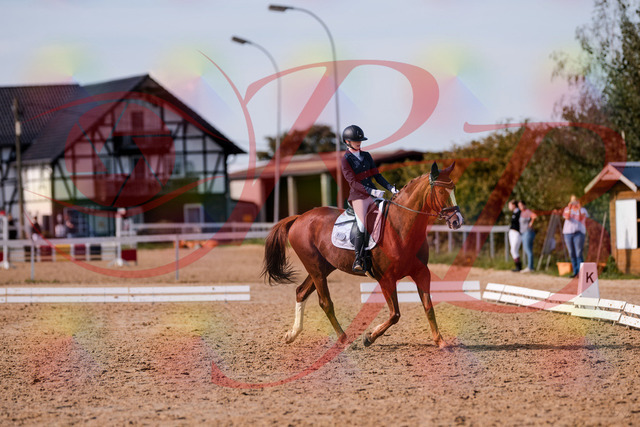 2026_10_03_Siefer-Hof_133157_Z81_87580899 | Professionelle Reitsport-, Turnier- und Eventfotografie von Robert Broda. Galerien mit ausgewählten und bearbeiteten Bildern direkt online ansehen und bestellen.