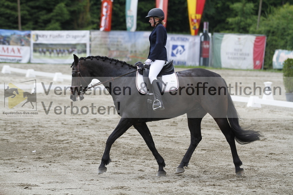 _MG_1514 | equestrian-live-com