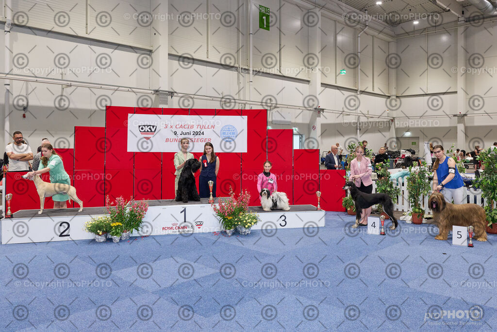 202406_ÖKV-IHA-Tulln24_NZ9_9420 | proPHOTO - Realisiert mit Pictrs.com