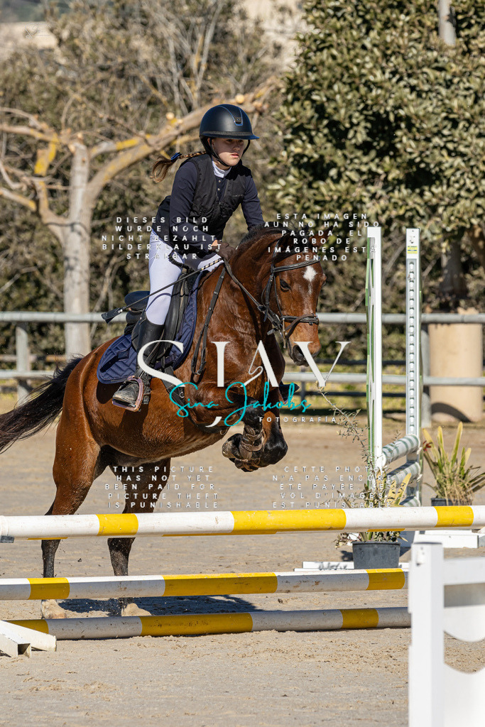 IMG_8692 | s-jay-photography - Realisiert mit Pictrs.com