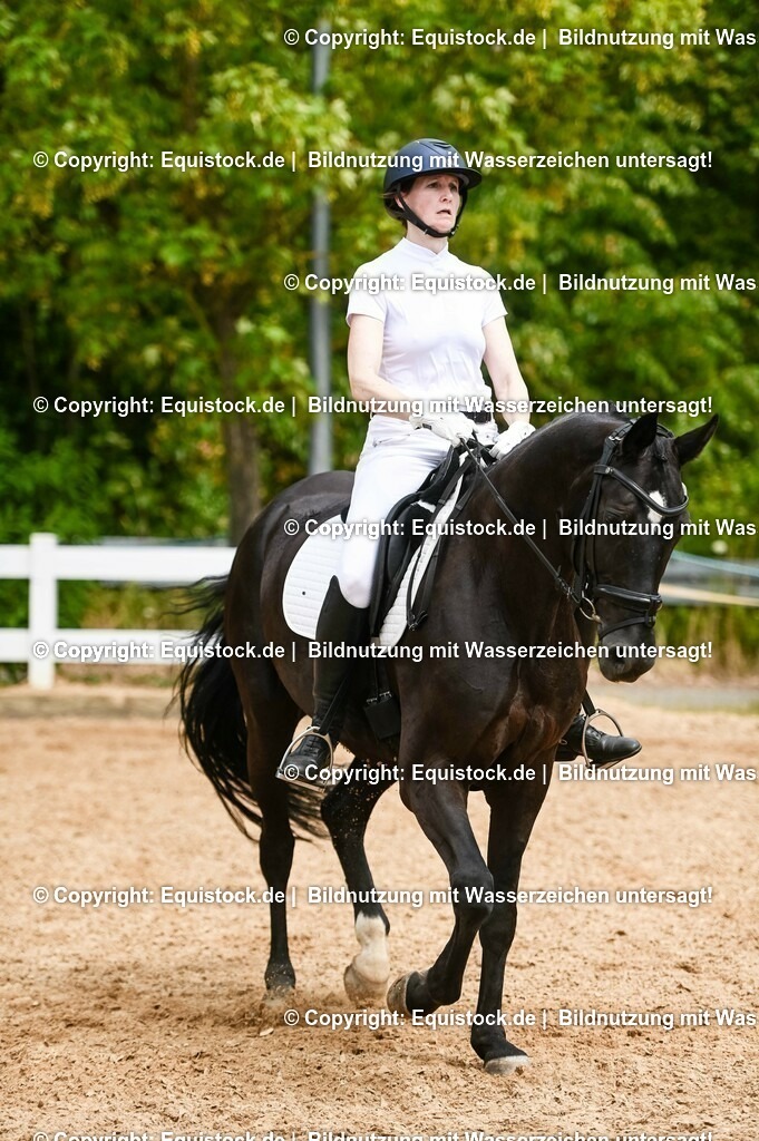 20230715_05_Dressurprüfung Kl.A++_0253 | equistock