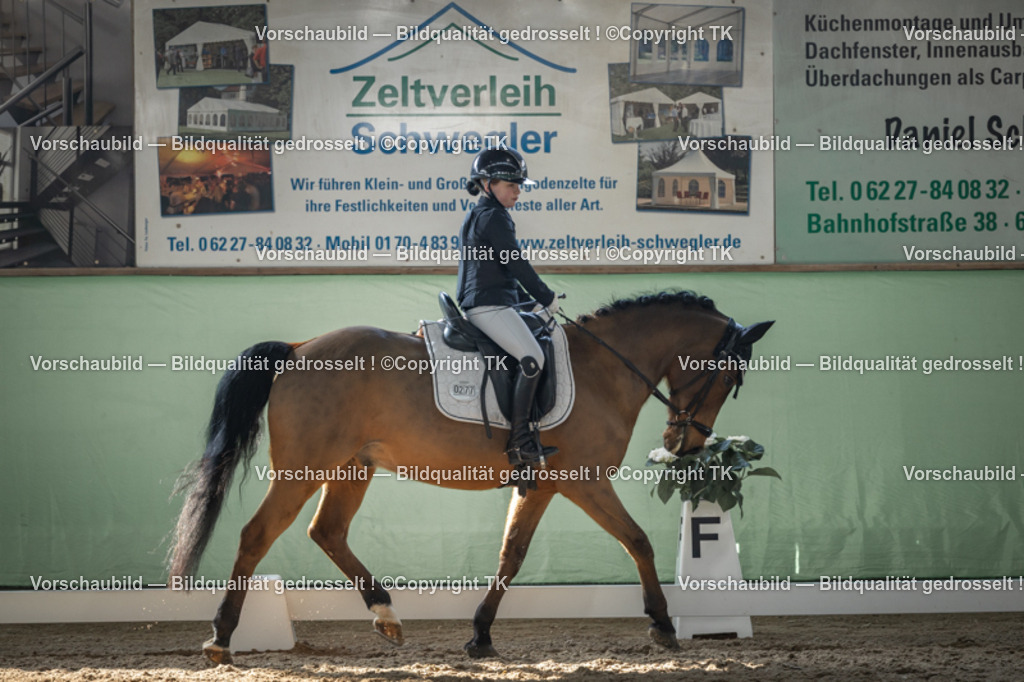 _D5A8529 | Emotionale Pferde- & People-Fotografie rund um Heidelberg, Leimen & Umgebung. Natürliche Fotos von Pferd, Mensch & Familie. Jetzt Termin sichern!