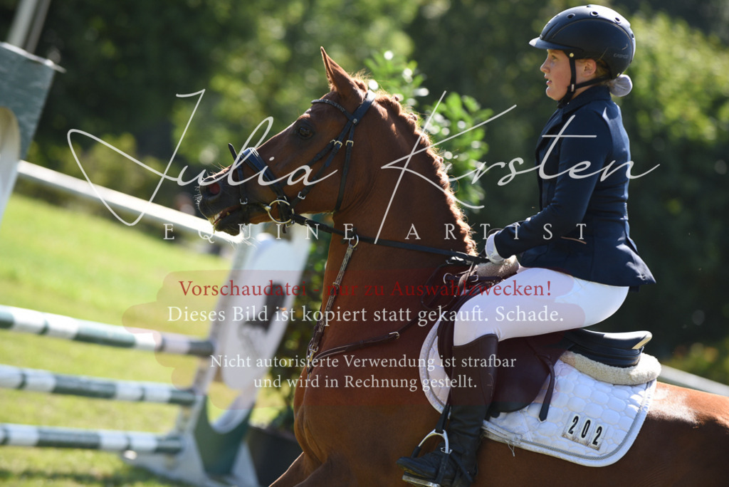 DSC_9304 | Pferde- und Turnierfotografie in Westsachsen. Pferdeportraits, Auftragszeichnungen und intuitive Kunst.