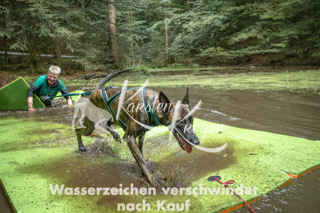 1527_ZZ90721-Bearbeitet | kk-dogfotos