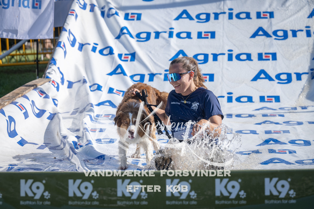 0944_ZZ96960 | kk-dogfotos