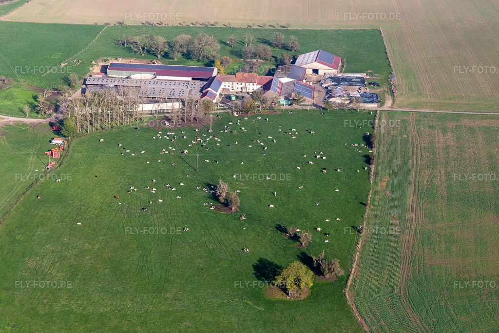 Luftbild: Ferme de Karleskind Guy in Gros-Réderching im Bundesland Moselle in Frankreich. Foto: IMG_143762.jpg vom 26.10.2024 durch Werner Riehm/FLY-FOTO.de