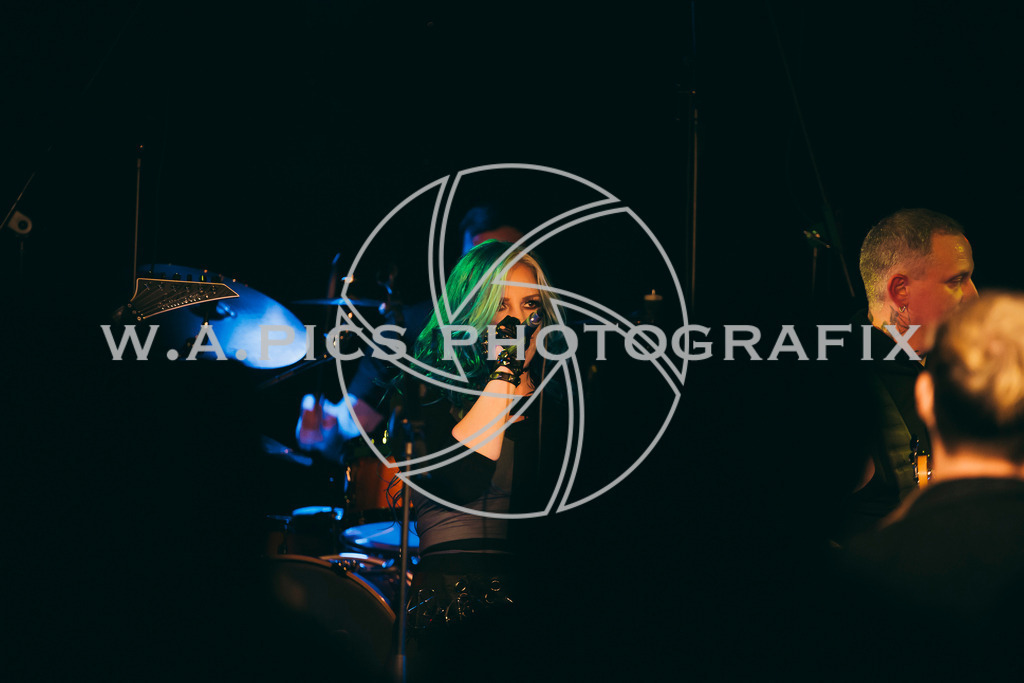 A-Willdoner_20260117_38 | Sport-,  Presse- und Eventbegleitung!
Contact me !
