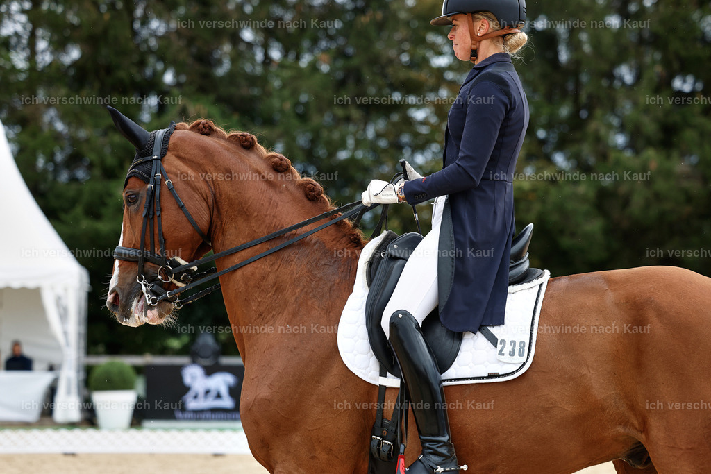 11-238-Dressur S___-StoibPH-975 | working equitationturnier fotograf videograf stoibphotography marixx film working equitation deutschland reitsport turnierfotografie eventfotografie equestrian events