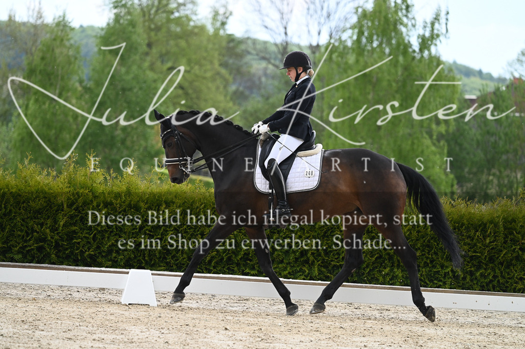 20230512_JK-Röhrsdorf-05-019 | Pferde- und Turnierfotografie in Westsachsen. Pferdeportraits, Auftragszeichnungen und intuitive Kunst.