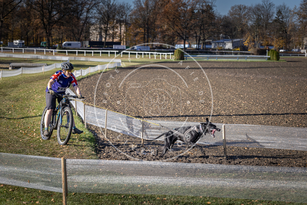 CaniXpix_DV3A4737 | Hundefotografie, Tierfotograf, Pfotenfotografie, Fotoshooting Hund, Hunde Portrait, Hundesport, Hundeportraits, Heideshooting, Hunde, Sportfotograf, Hundefotograf, Turnierhundsport, THS,  - Realisiert mit Pictrs.com