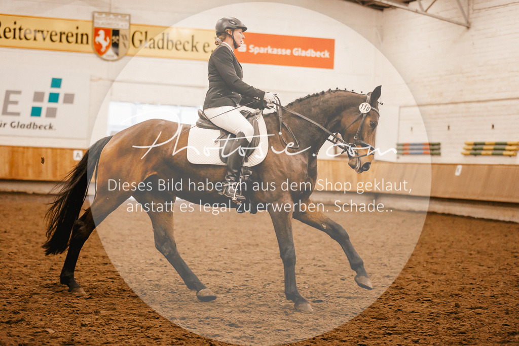 3I6A1412 | Stimmungsvolle Portraits und Reitsportfotografie im Ruhrgebiet und im Münsterland.

Pferdefotografie, Hundefotografie, Tierfotografie, Reportagen, Portraits von Tier und Mensch, Turnierfotografie in Bochum, Recklinghausen, Marl, Haltern am See, Dülmen.. - Realisiert mit Pictrs.com