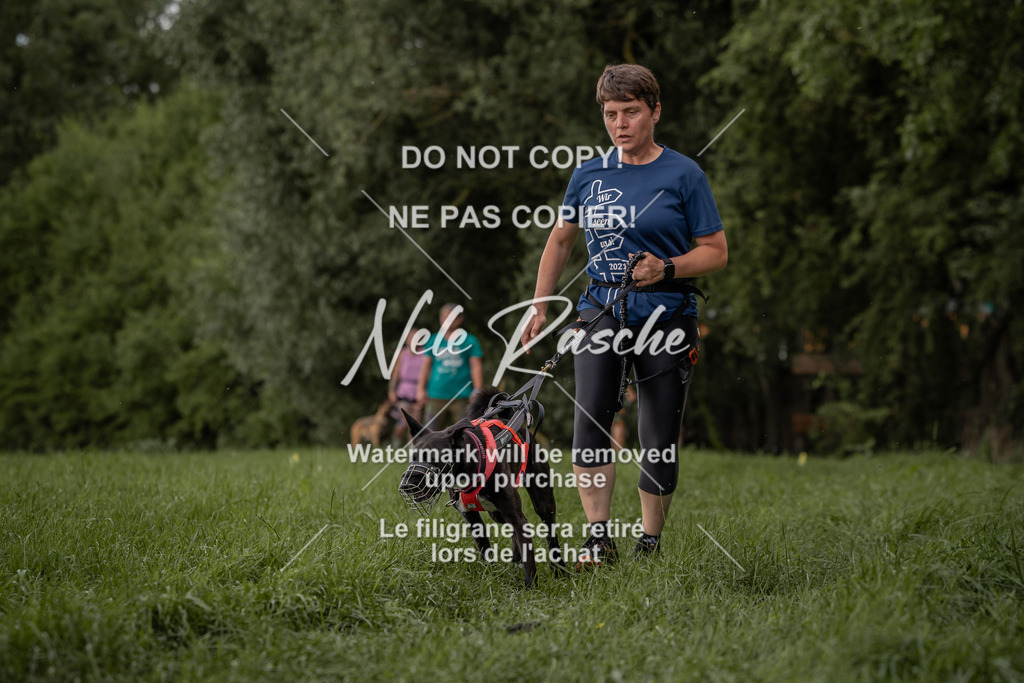 nelerasche_DoN_149 | nelerasche
