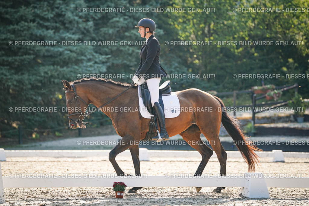 DSC08424 | Pferdegrafie