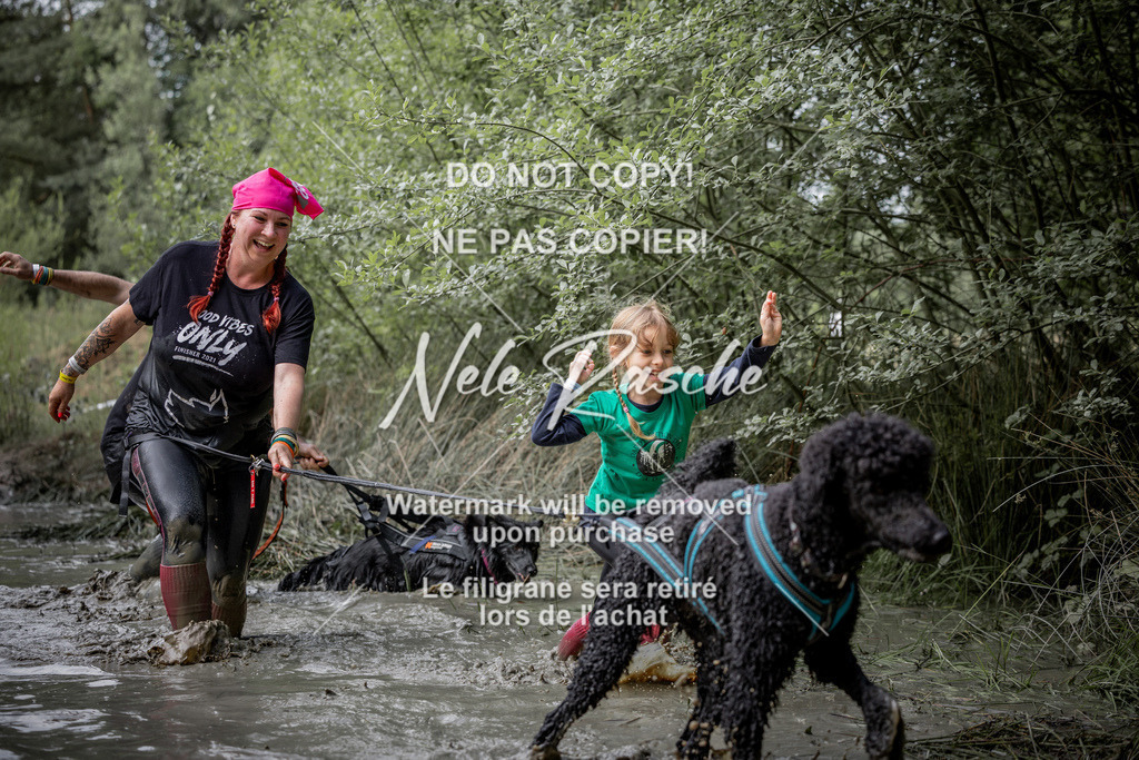 nelerasche_so0800-0930_77 | nelerasche