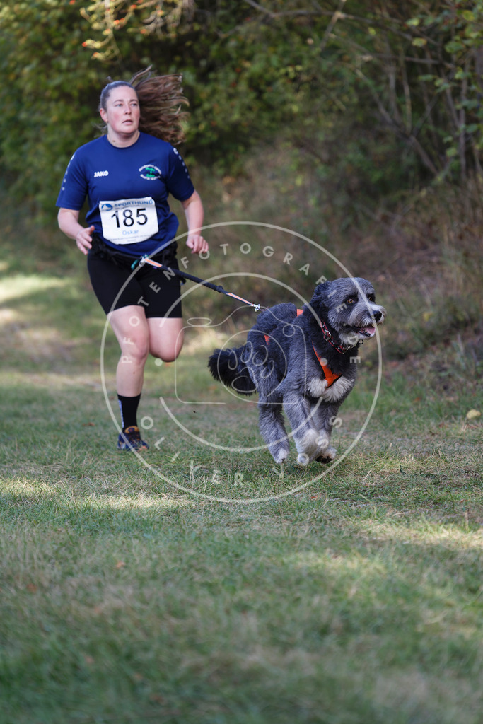 0L8A5543 | Hundefotografie, Tierfotograf, Pfotenfotografie, Fotoshooting Hund, Hunde Portrait, Hundesport, Hundeportraits, Heideshooting, Hunde, Sportfotograf, Hundefotograf, Turnierhundsport, THS,  - Realisiert mit Pictrs.com