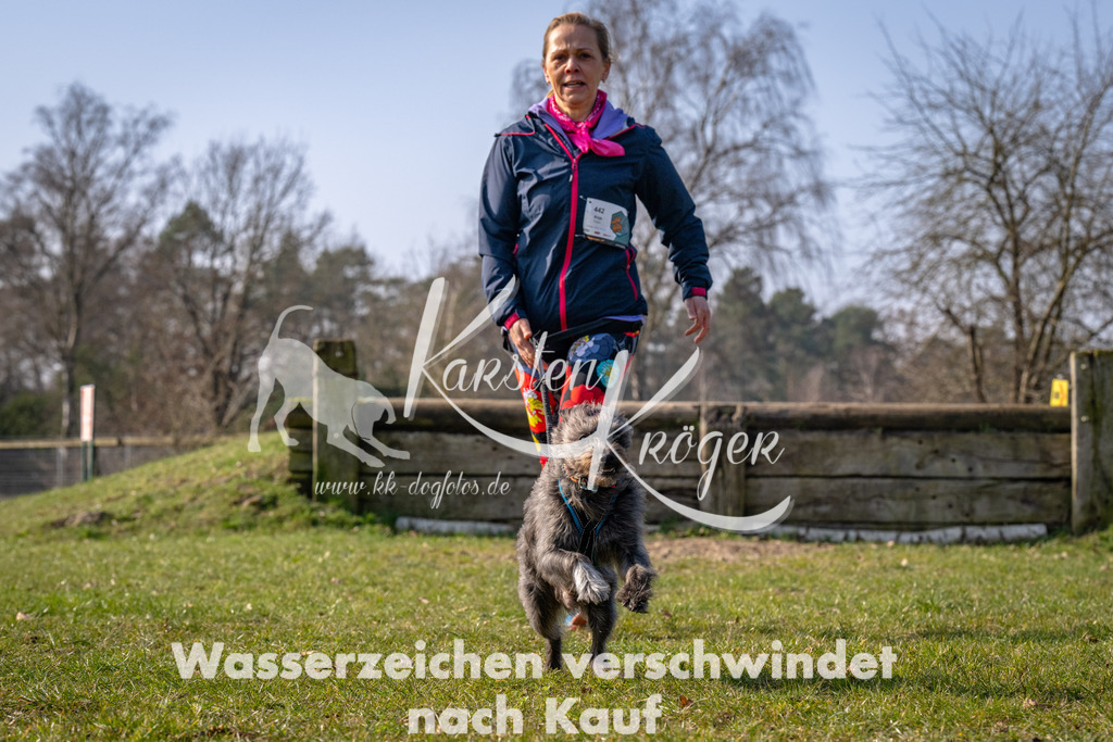 _ZZ91955 | kk-dogfotos