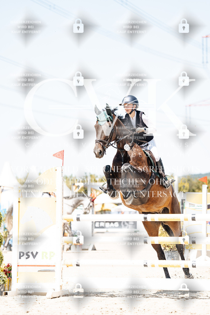 CK909644 | Turnierfotografie Pferdefotografie Trier Rheinland-Pfalz Pferdesport Reitsport Tierfotografie Sportfotografie Pferdevideo Pferdevideografie Equestrianvideography equestrianphotography  - Realisiert mit Pictrs.com