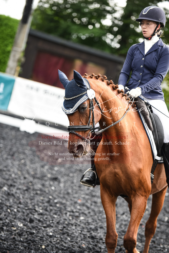 DSC_2903 | Pferde- und Turnierfotografie in Westsachsen. Pferdeportraits, Auftragszeichnungen und intuitive Kunst.