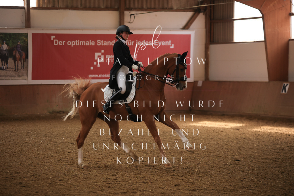 IMGT4694 | pl-fotografie