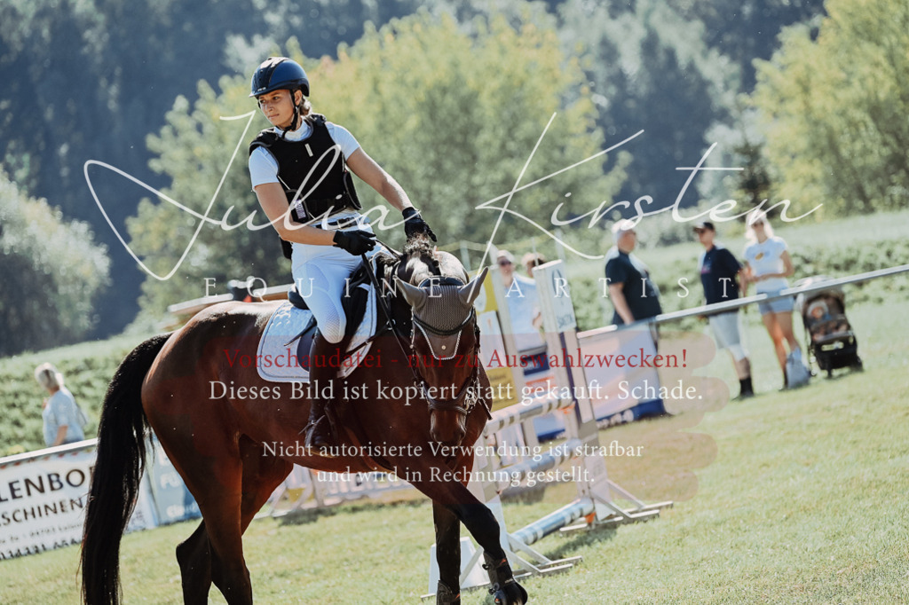 DSC_5588 | Pferde- und Turnierfotografie in Westsachsen. Pferdeportraits, Auftragszeichnungen und intuitive Kunst.