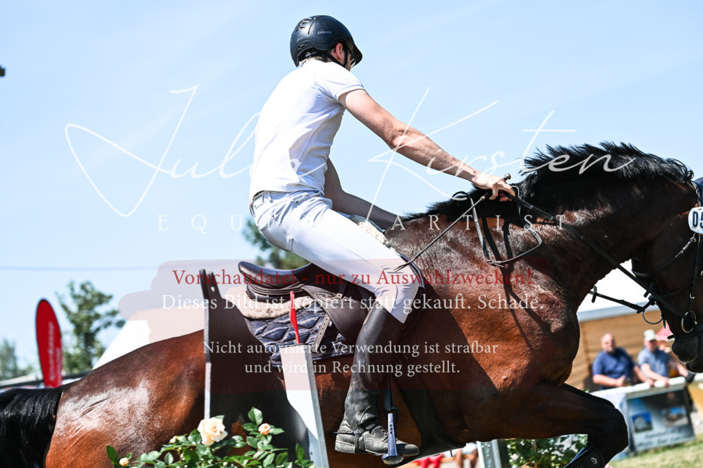 DSC_0465 | Pferde- und Turnierfotografie in Westsachsen. Pferdeportraits, Auftragszeichnungen und intuitive Kunst.