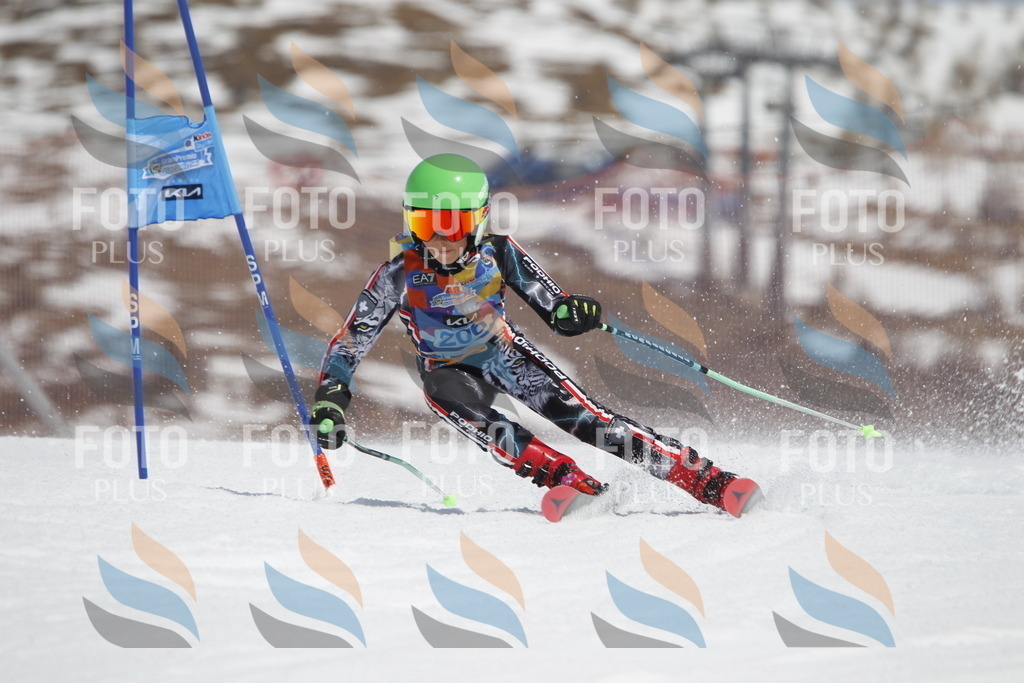 _U3G2147 | holidayphoto