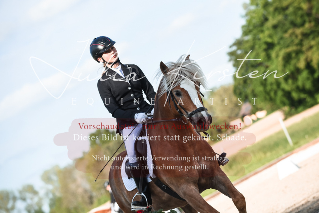 20230518_JK-Röhrsdorf-12-0962 | Pferde- und Turnierfotografie in Westsachsen. Pferdeportraits, Auftragszeichnungen und intuitive Kunst.