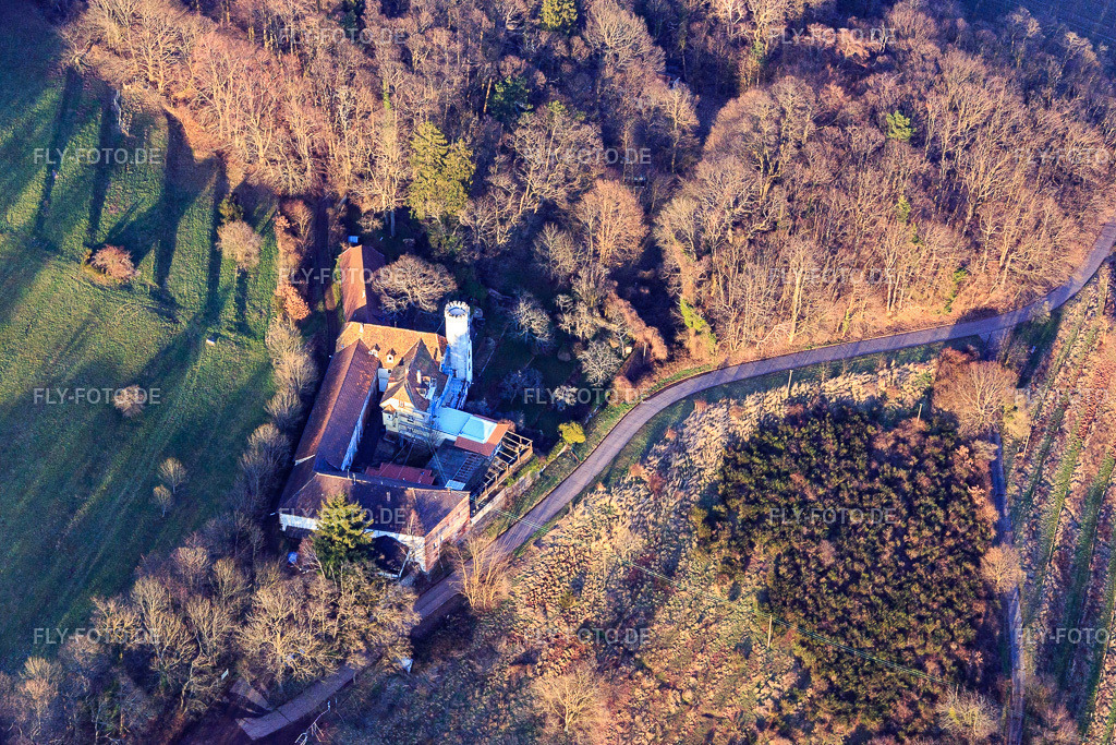 Slevogthof Neukastel | Luftbild: Slevogthof Neukastel in Leinsweiler im Bundesland Rheinland-Pfalz in Deutschland. Foto: IMG_105116.jpg vom 24.03.2018 durch Werner Riehm/FLY-FOTO.de - Realisiert mit Pictrs.com