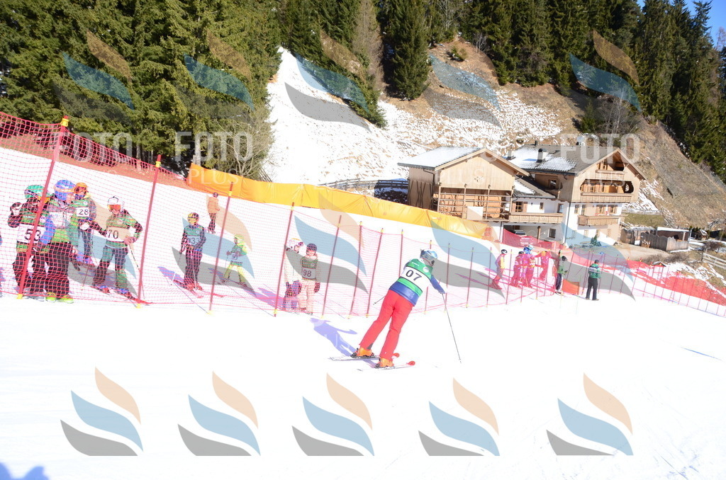 C4547 | holidayphoto