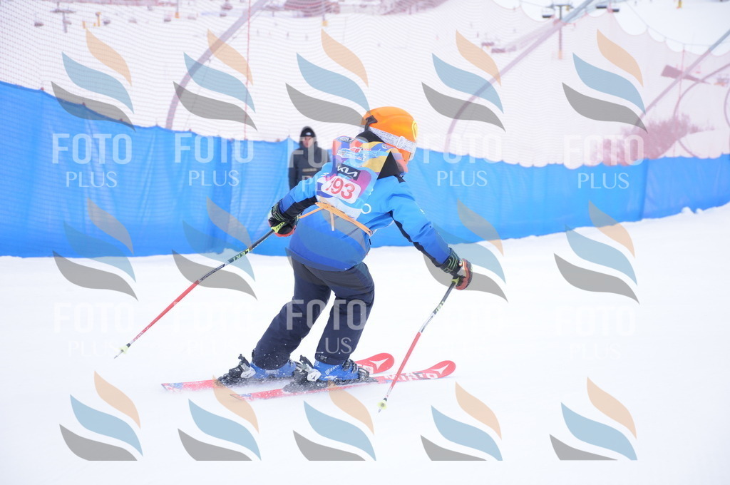 DSC_9161 | holidayphoto